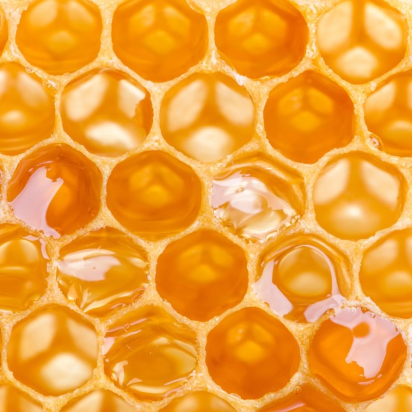 FSS Quaternized Honey SA